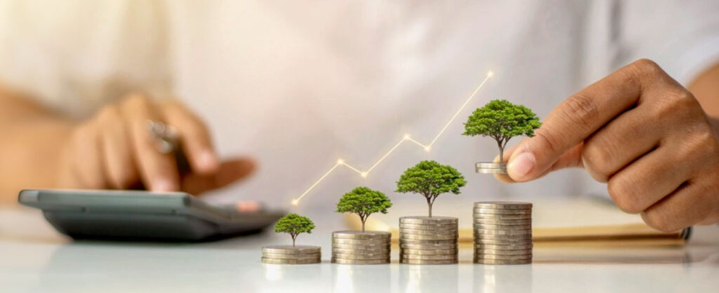 importance-of-investment