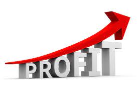 profit margin