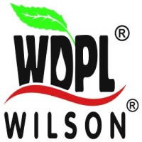 Wilson Drugs 