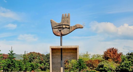 PCD franchise in Chandigarh